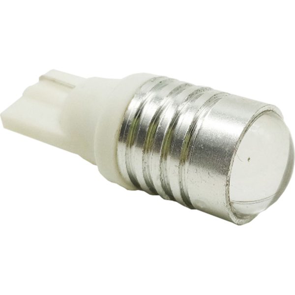 T100 Fishtail